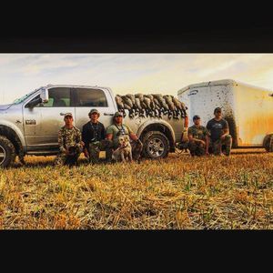 Meet your Posher, Cole